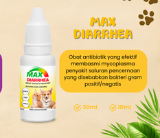 Max Diarrhea 30 ML