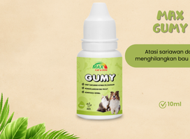 Max Gumy 10 ML