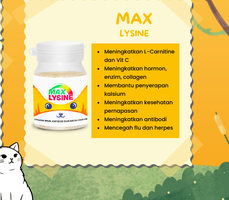 Max Lysine 50 GR