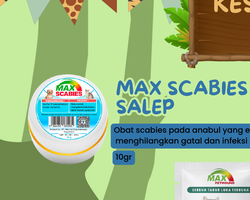 Max Scabies Salep 10 GR